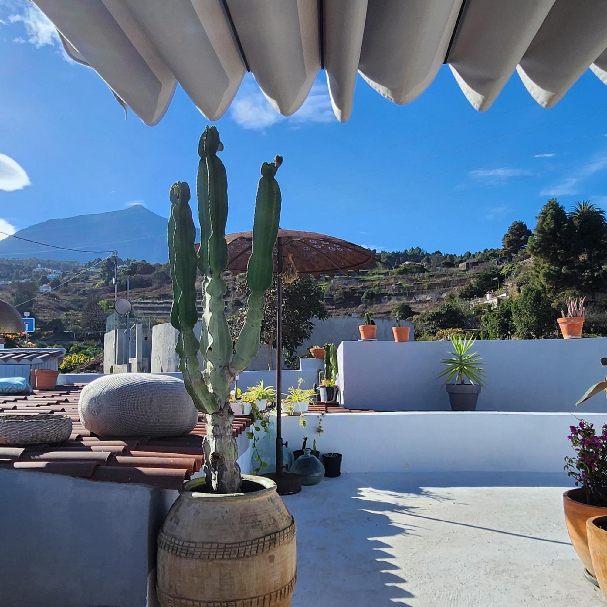 Casa Salvia Bed & Breakfast - Icod - Tenerife Ікод-де-лос-Вінос Екстер'єр фото